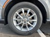 6 thumbnail image of  2026 Honda CR-V EX