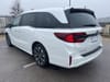 4 thumbnail image of  2026 Honda Odyssey Elite