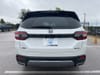5 thumbnail image of  2026 Honda Pilot Elite