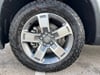 7 thumbnail image of  2026 Honda Ridgeline RTL