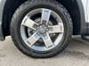 7 thumbnail image of  2026 Honda Ridgeline RTL