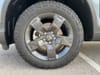 7 thumbnail image of  2026 Honda Ridgeline TrailSport
