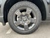 7 thumbnail image of  2026 Honda Ridgeline TrailSport