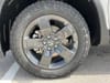 7 thumbnail image of  2026 Honda Ridgeline TrailSport