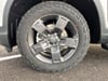 7 thumbnail image of  2026 Honda Ridgeline TrailSport