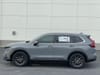 2 thumbnail image of  2026 Honda CR-V EX-L