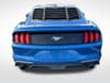 4 thumbnail image of  2019 Ford Mustang EcoBoost