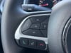 14 thumbnail image of  2020 Jeep Renegade Latitude