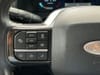 15 thumbnail image of  2023 Ford Expedition Platinum