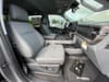 32 thumbnail image of  2024 Ford F-150 XLT