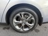 42 thumbnail image of  2024 Honda Accord EX