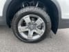 43 thumbnail image of  2025 Honda Ridgeline RTL