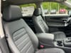 31 thumbnail image of  2026 Honda CR-V EX-L