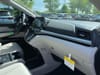 34 thumbnail image of  2026 Honda Odyssey EX-L
