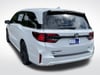 4 thumbnail image of  2026 Honda Odyssey Sport-L