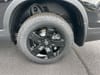 43 thumbnail image of  2026 Honda Ridgeline Black Edition
