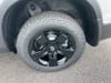 41 thumbnail image of  2026 Honda Ridgeline Black Edition
