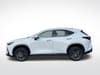 2 thumbnail image of  2026 Lexus NX NX 350 Premium