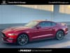 1 thumbnail image of  2023 Ford Mustang EcoBoost Premium