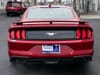 5 thumbnail image of  2023 Ford Mustang EcoBoost Premium
