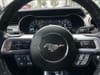 12 thumbnail image of  2023 Ford Mustang EcoBoost Premium