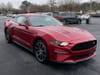 8 thumbnail image of  2023 Ford Mustang EcoBoost Premium