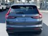 4 thumbnail image of  2024 Honda CR-V EX-L