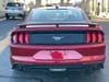 4 thumbnail image of  2023 Ford Mustang EcoBoost Premium