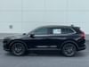 2 thumbnail image of  2026 Honda CR-V EX-L
