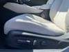 24 thumbnail image of  2025 Honda Accord Sedan SE