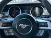 10 thumbnail image of  2020 Ford Mustang GT