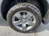 43 thumbnail image of  2025 Honda Ridgeline TrailSport