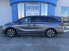 1 placeholder image of  2025 Honda Odyssey Elite