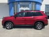 1 placeholder image of  2023 Honda Passport TrailSport