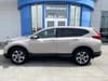 1 thumbnail image of  2019 Honda CR-V EX-L
