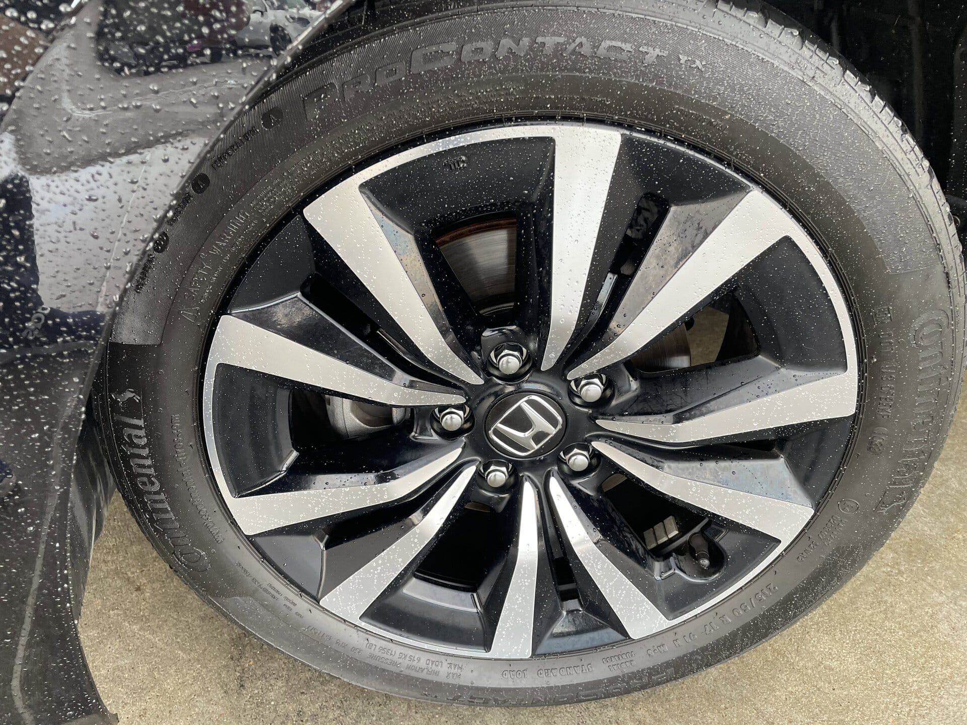 2023 Honda Civic Hatchback EX-L - Photo 6