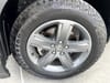 6 thumbnail image of  2023 Honda Ridgeline RTL