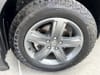 6 thumbnail image of  2023 Honda Ridgeline RTL