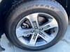 6 thumbnail image of  2024 Honda Pilot EX-L 8 Passenger