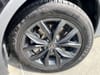 6 thumbnail image of  2024 Volkswagen Tiguan SE