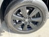 6 thumbnail image of  2025 Honda Pilot Black Edition