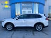 1 thumbnail image of  2026 Honda CR-V EX