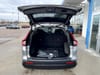 6 thumbnail image of  2026 Honda CR-V EX-L