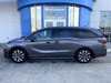 1 thumbnail image of  2026 Honda Odyssey Elite
