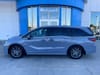 1 thumbnail image of  2026 Honda Odyssey Touring