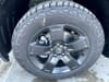 4 thumbnail image of  2026 Honda Ridgeline TrailSport