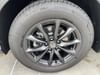 4 thumbnail image of  2026 Honda CR-V EX-L