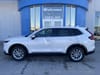 1 placeholder image of  2026 Honda CR-V EX