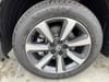 4 thumbnail image of  2025 Honda Pilot Touring
