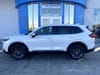 1 placeholder image of  2026 Honda CR-V EX-L